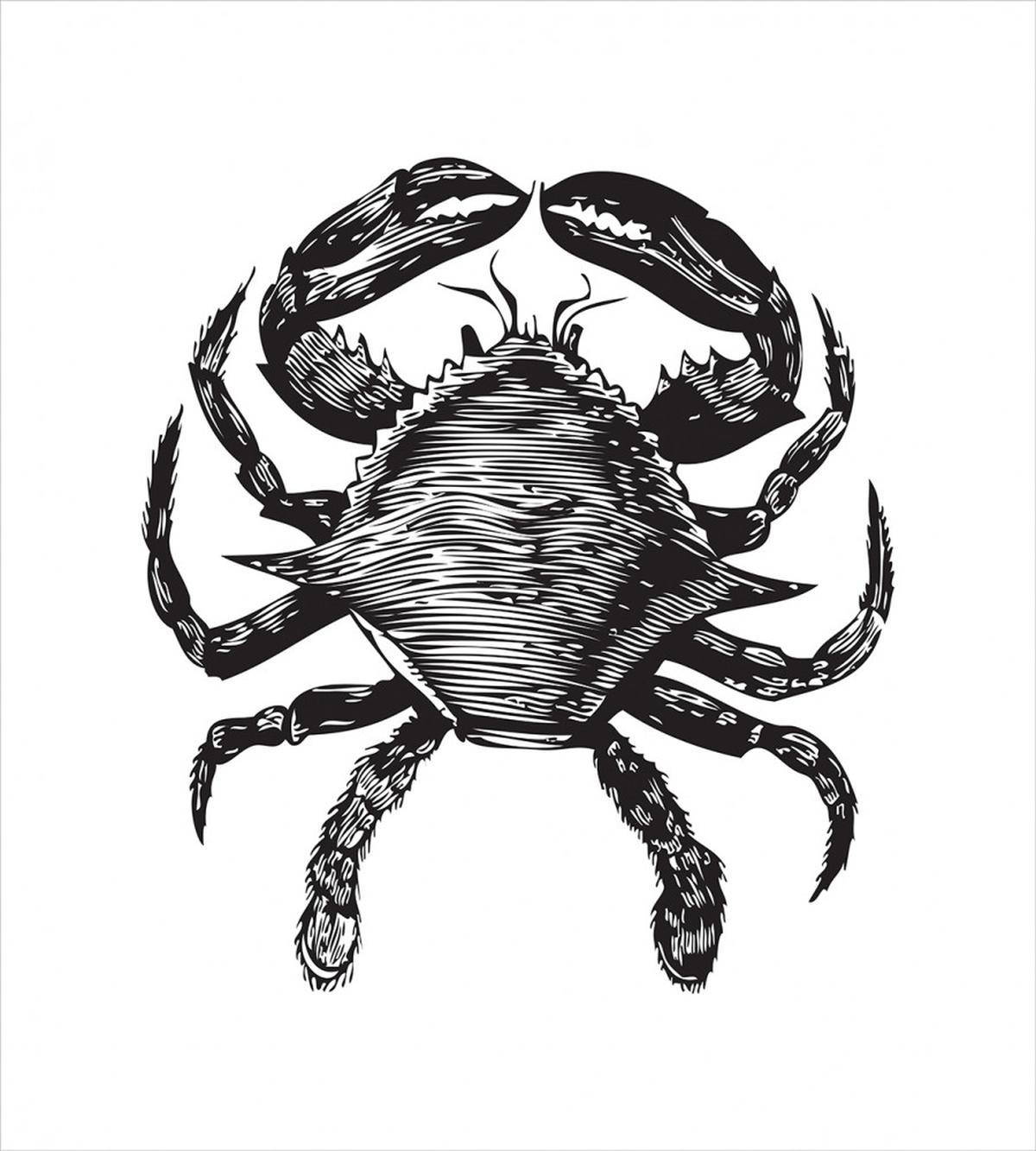 Crustacean Family Artwork — Pattern