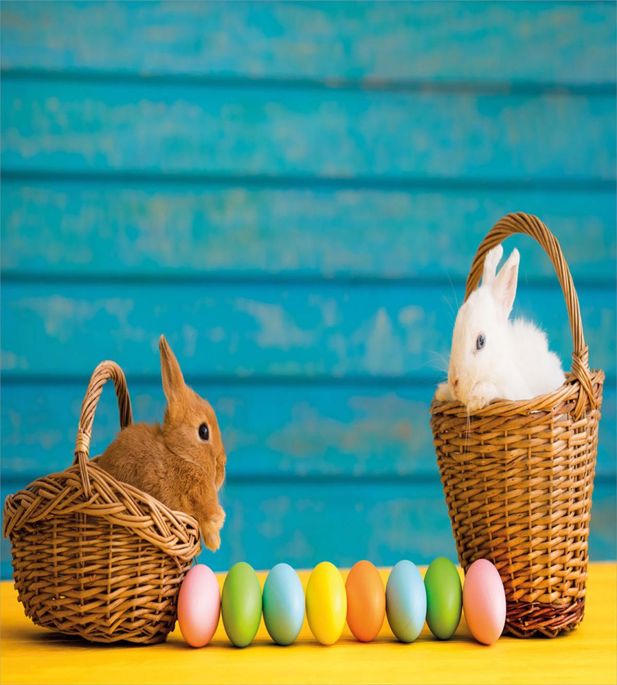 Rabbits in Baskets — Pattern