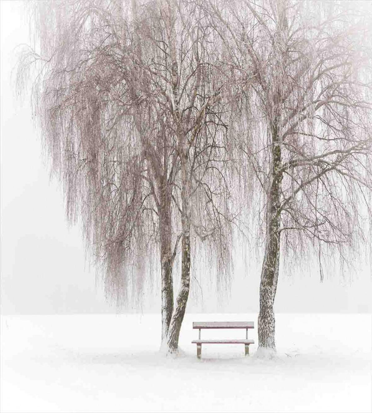 Snowy Bench in the Park — Pattern