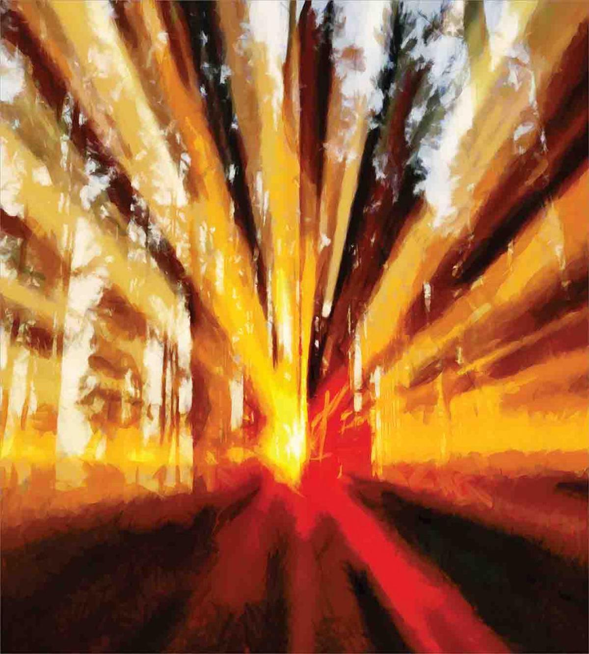 Sunset in the Forest — Pattern
