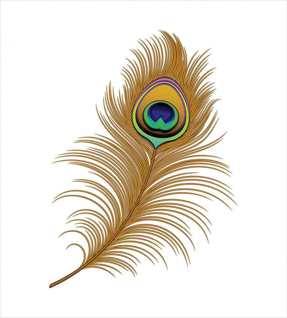 Exotic Peacock Wild Bird — Pattern
