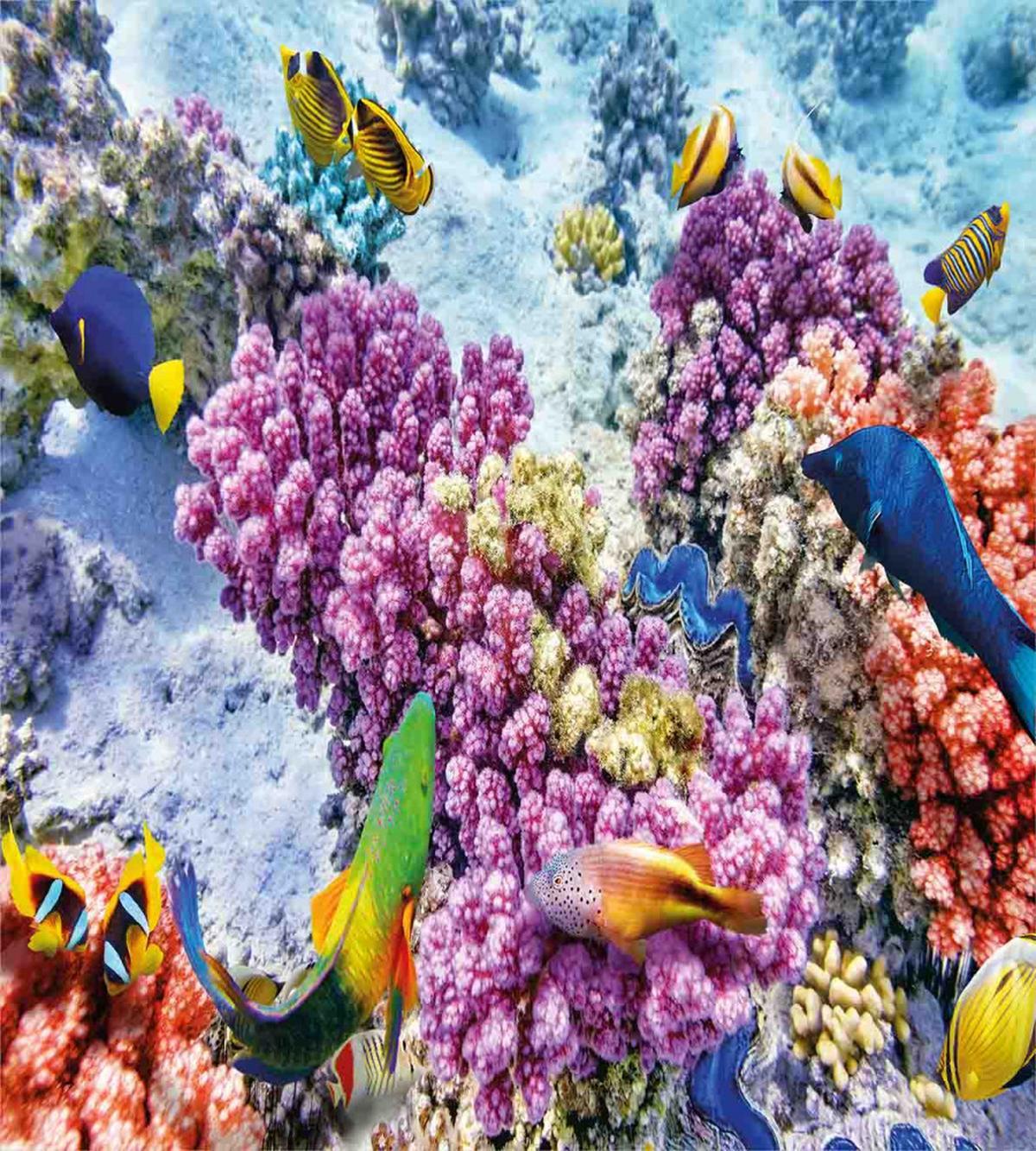 Marine Life Sea — Pattern