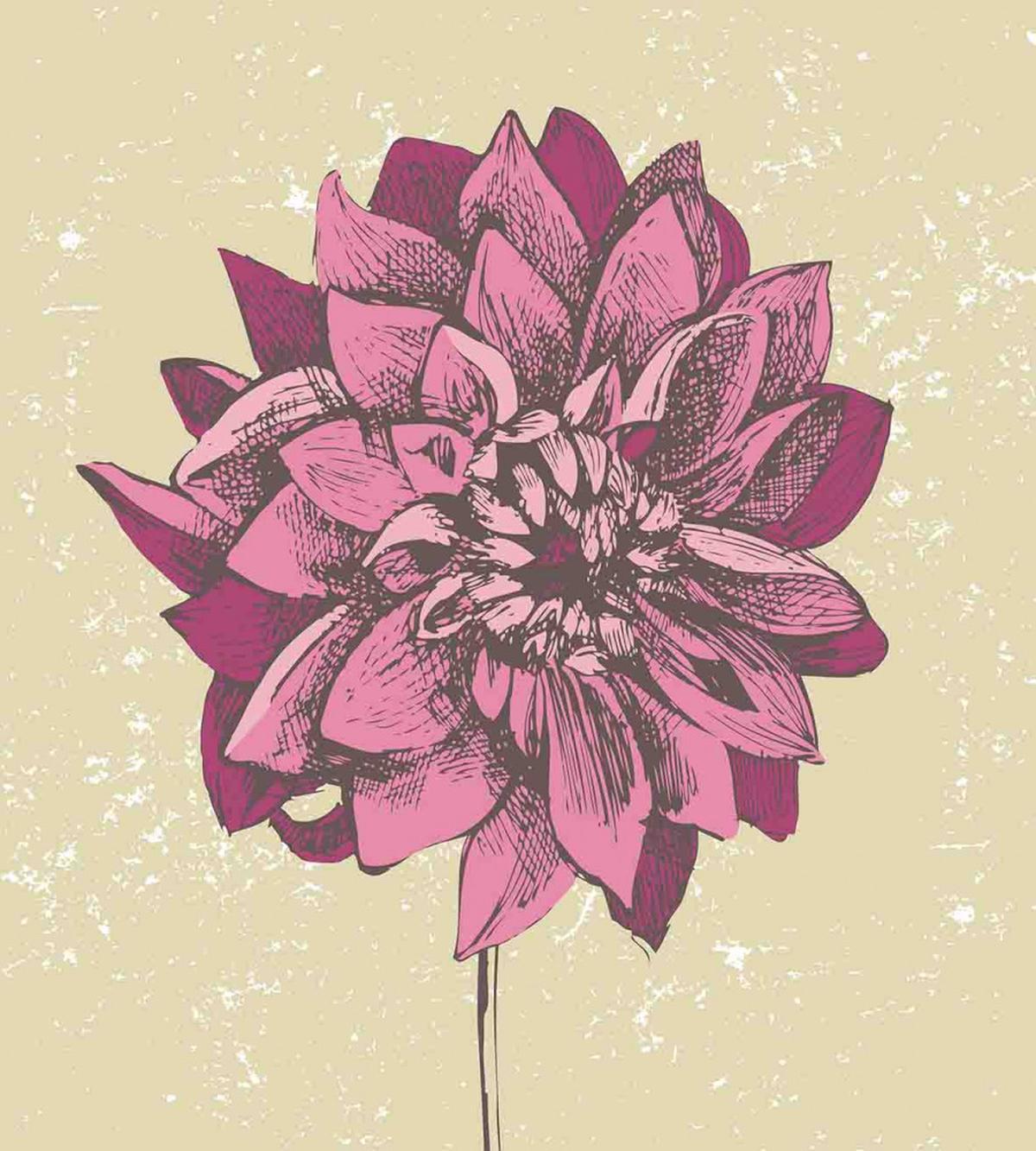 Dahlia Flower Bohemian — Pattern