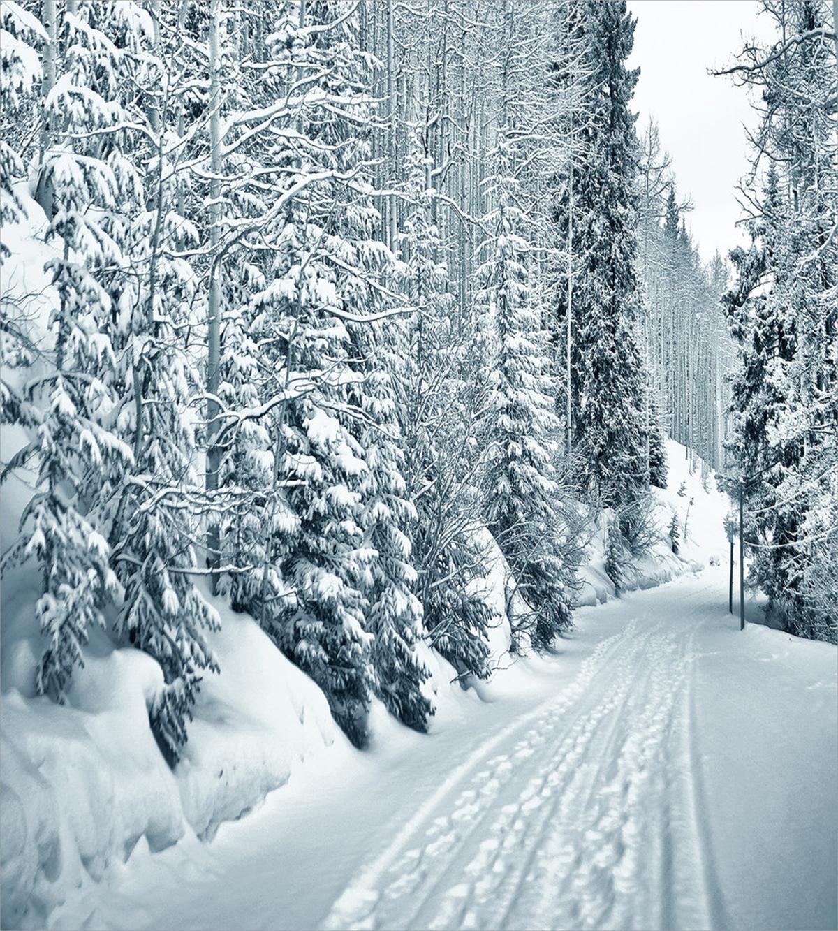 Ski Theme Snowy Road — Pattern