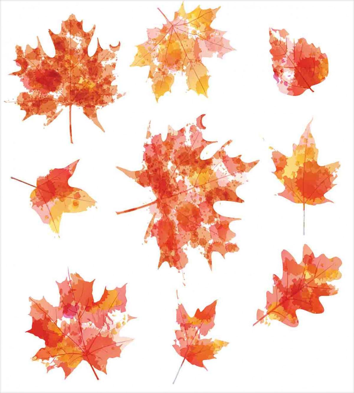 Canadian Foliage Maple — Pattern