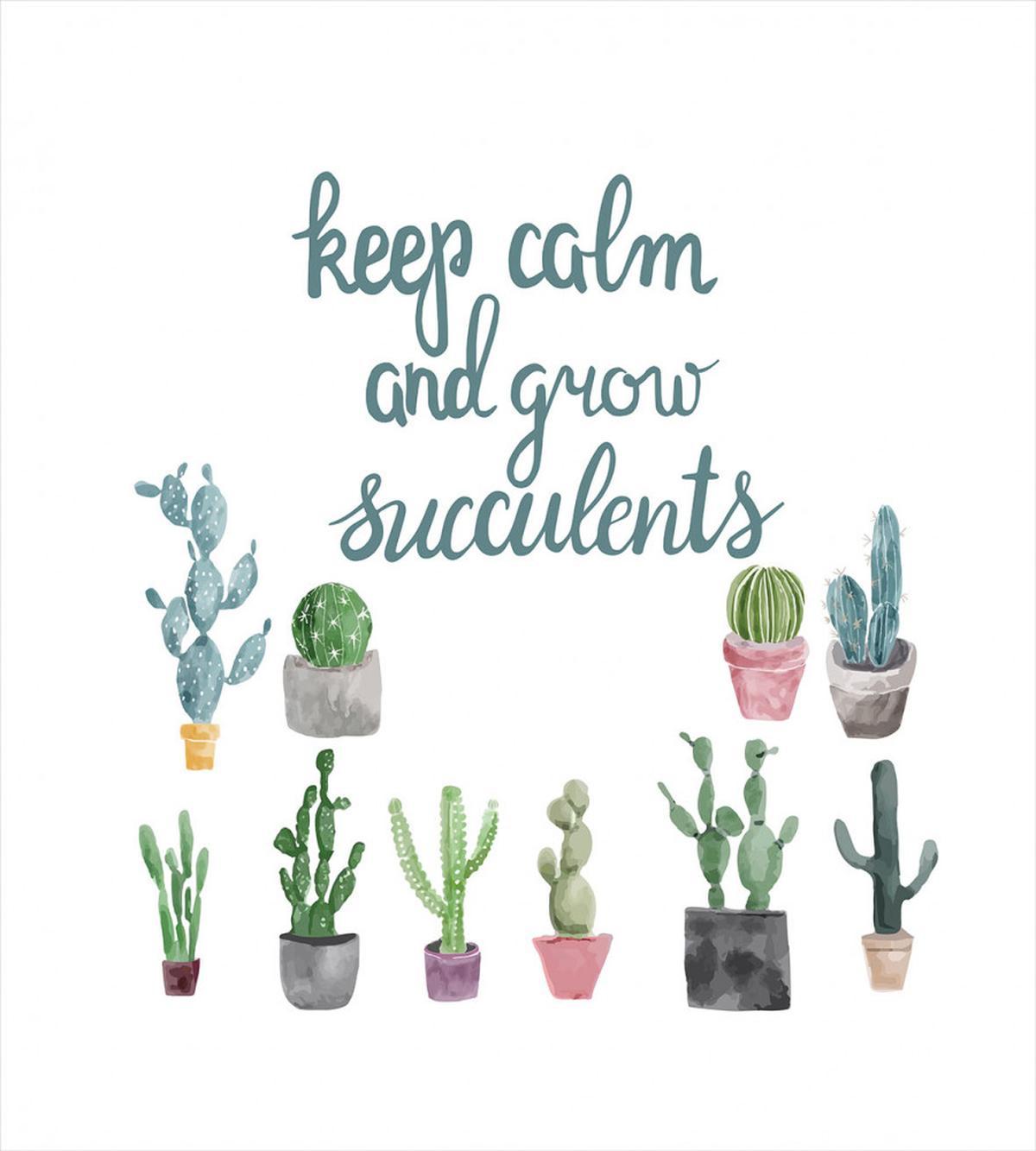 Grow Succulents Plant Pot — Pattern