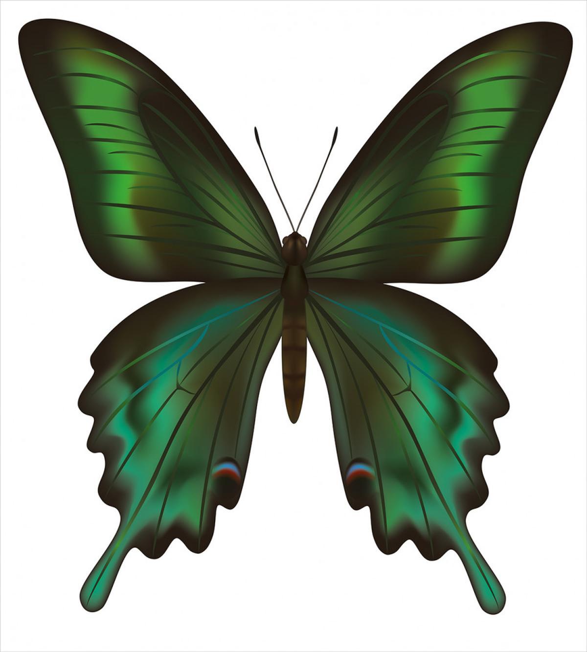 Exotic Green — Pattern