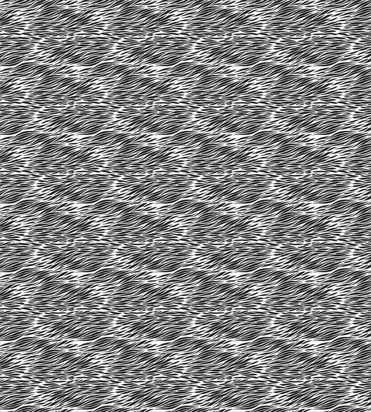 Black White Camo — Pattern