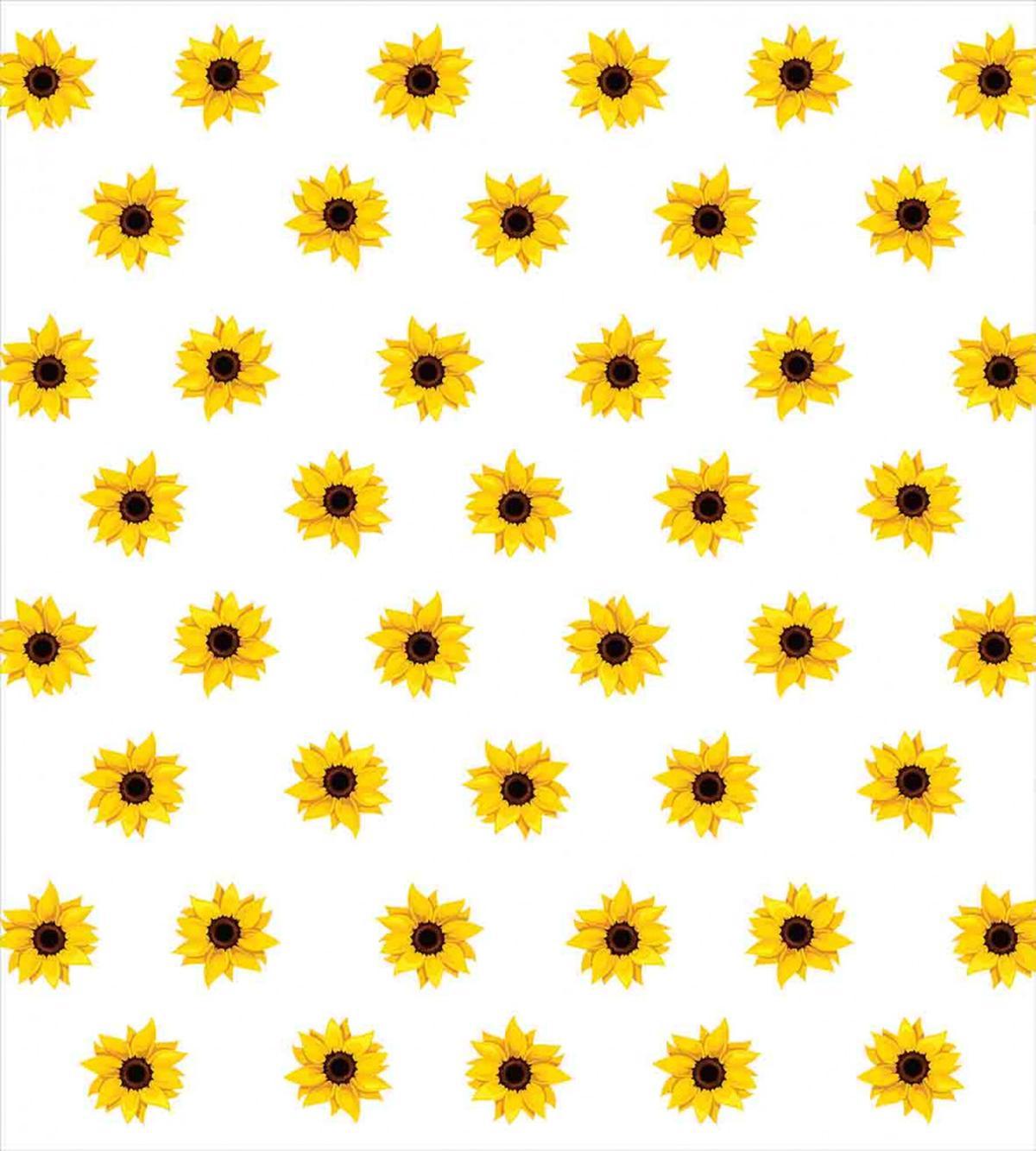 Sunflower Pattern Nature — Pattern