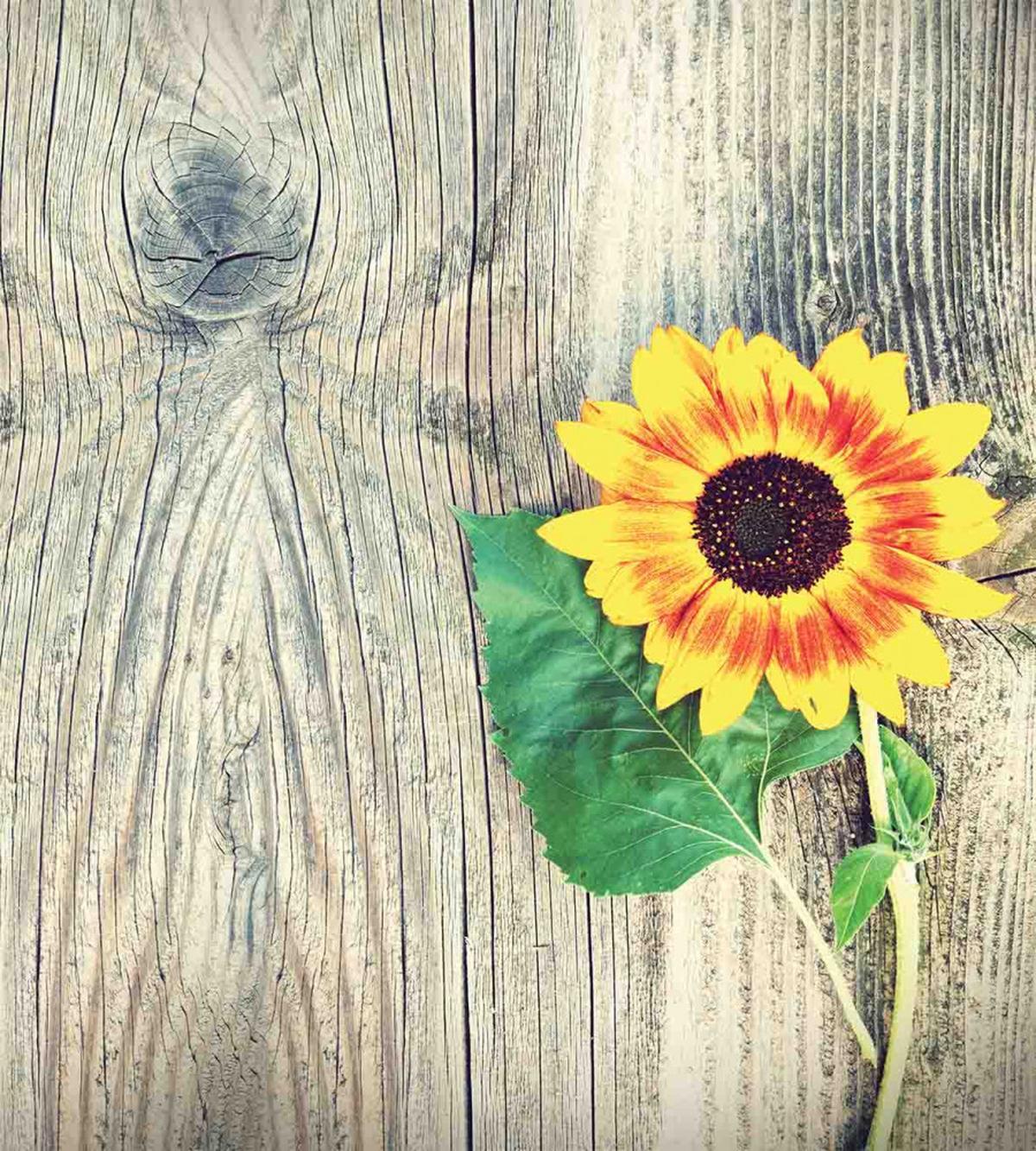 Wood Board Bouquet — Pattern