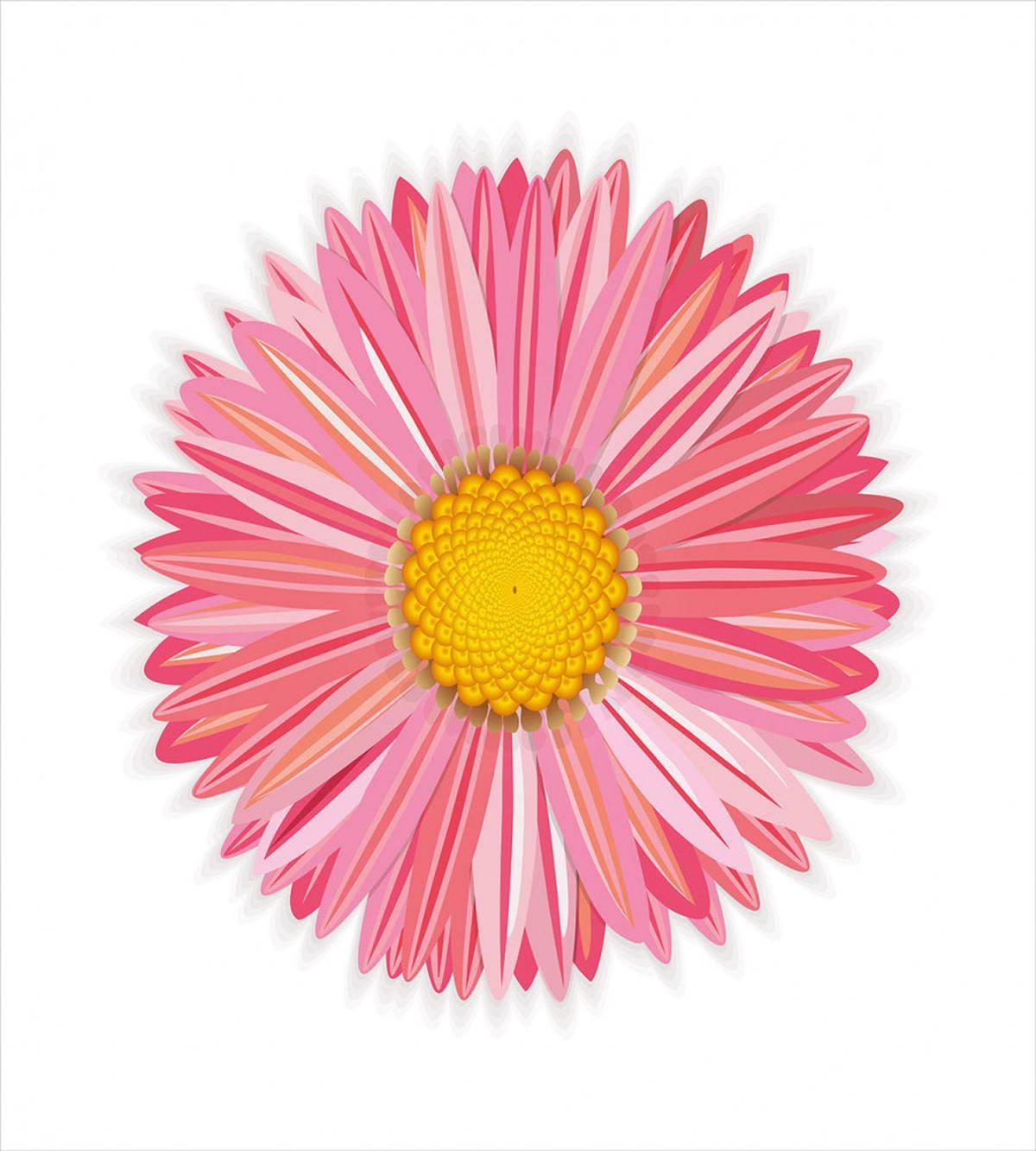 Pinkish Macro Petal — Pattern