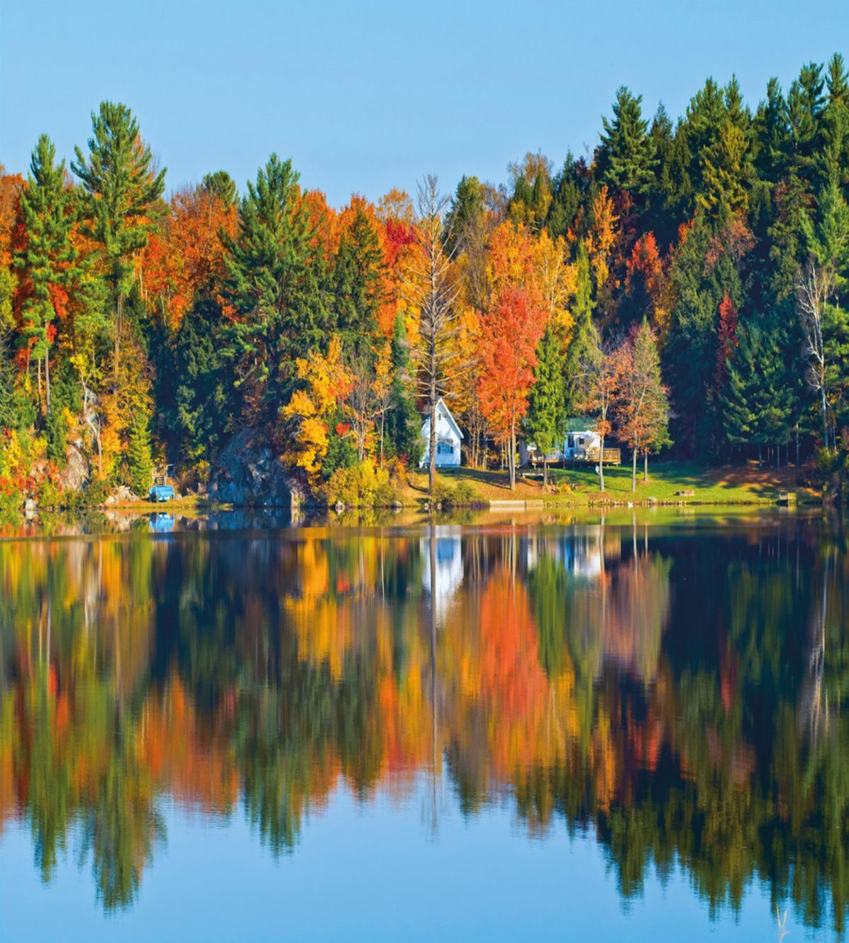 Lake House in Autumn — Pattern