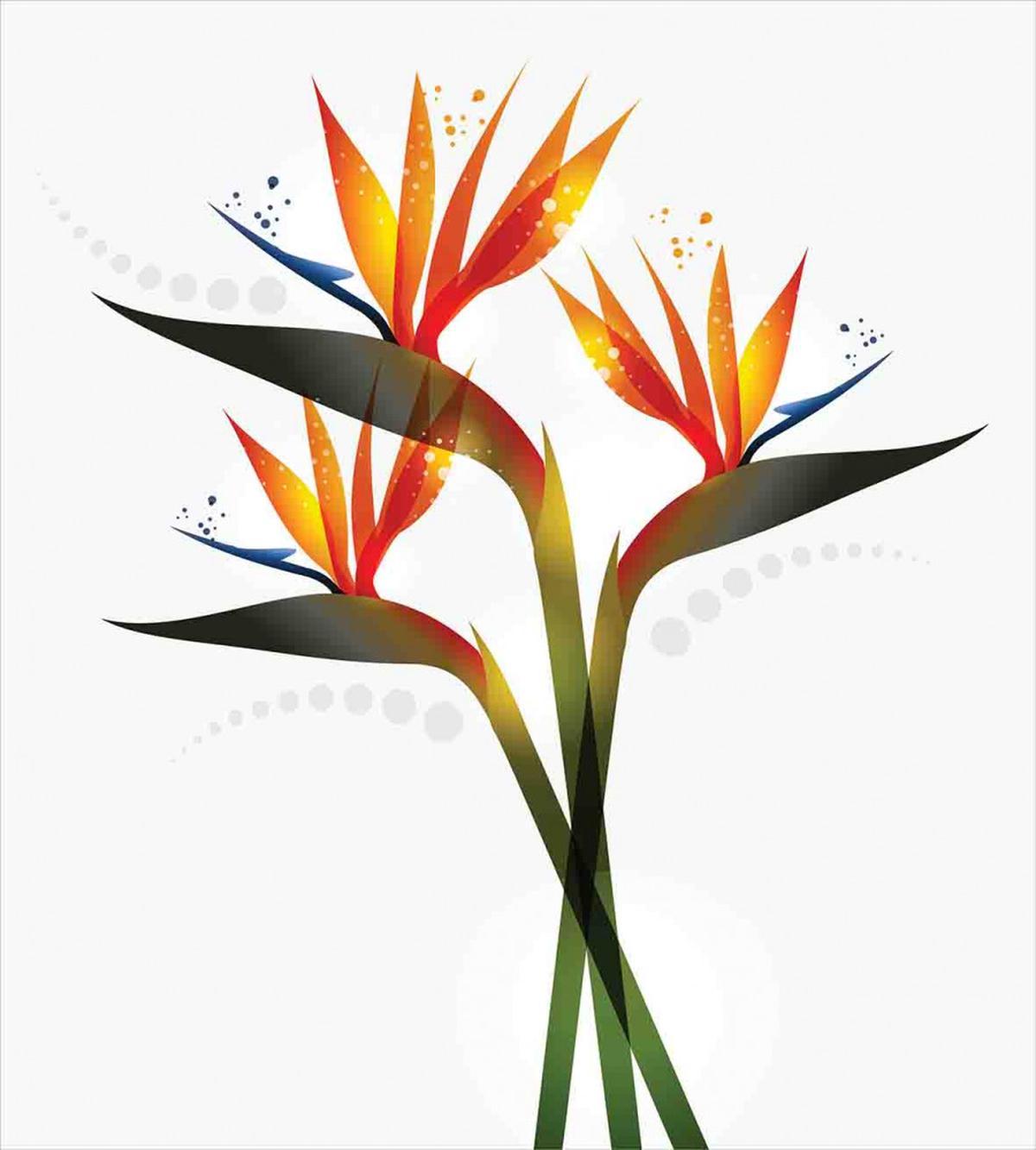 Ombre Tropical Garden — Pattern