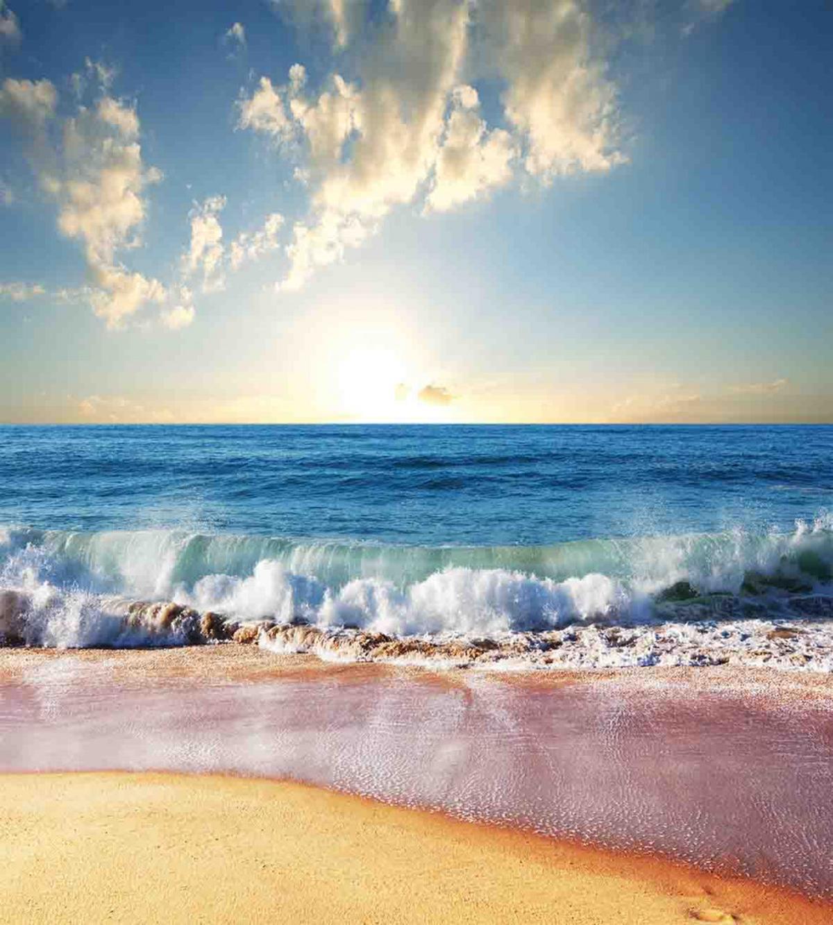 Summer Day Coast and Sea — Pattern