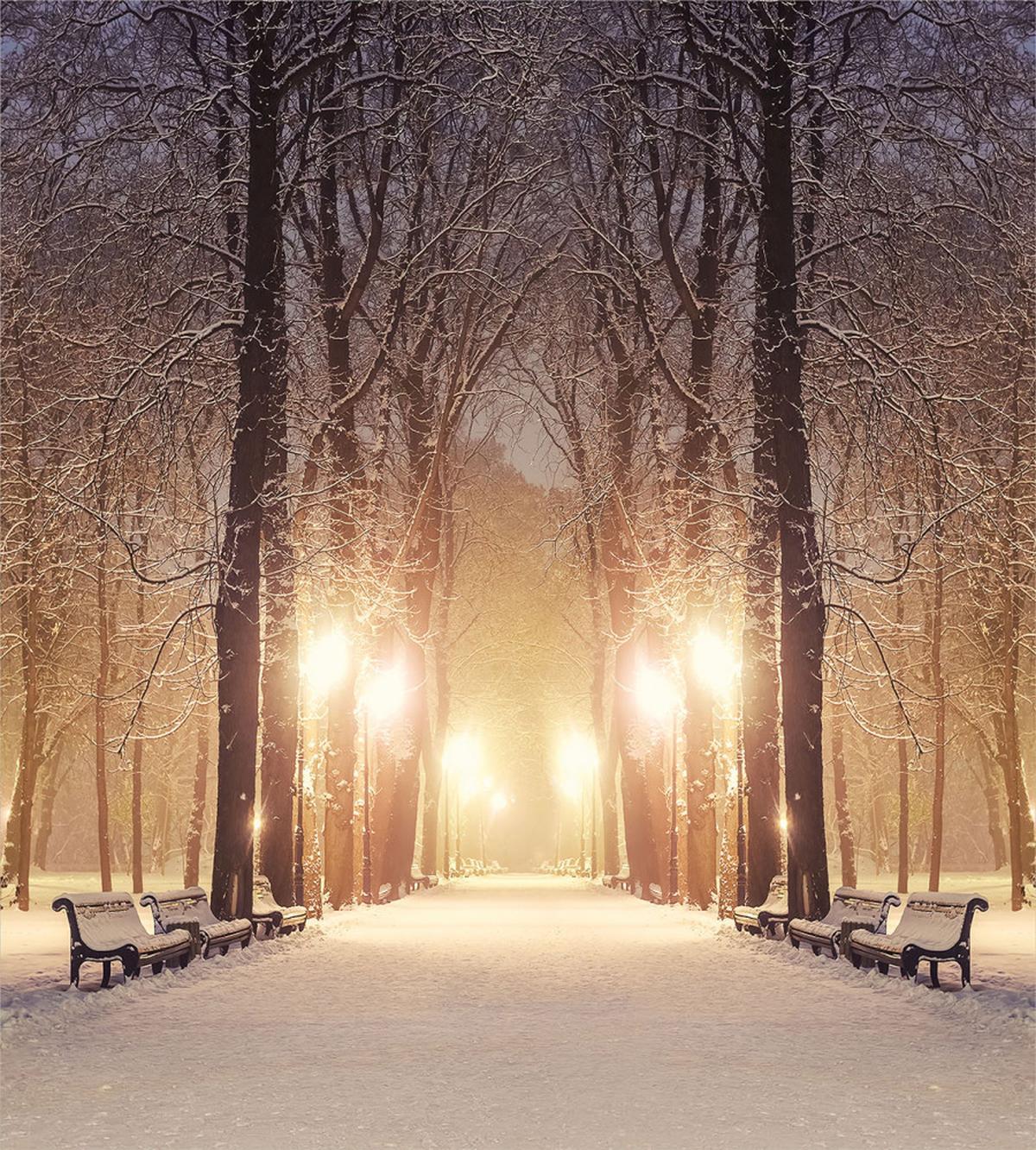 Night Woods at Winter — Pattern