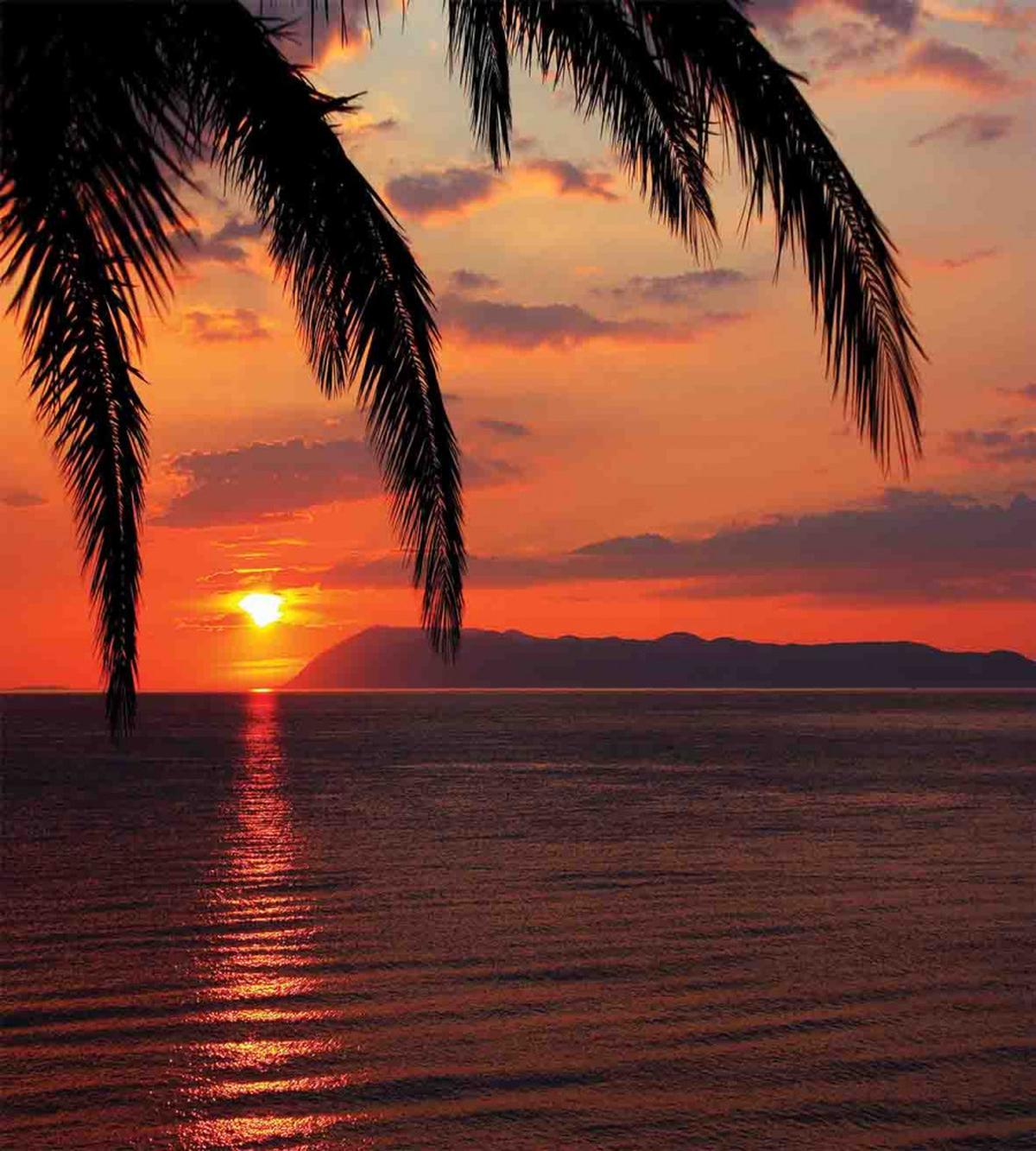 Sunrise on Sea and Palms — Pattern