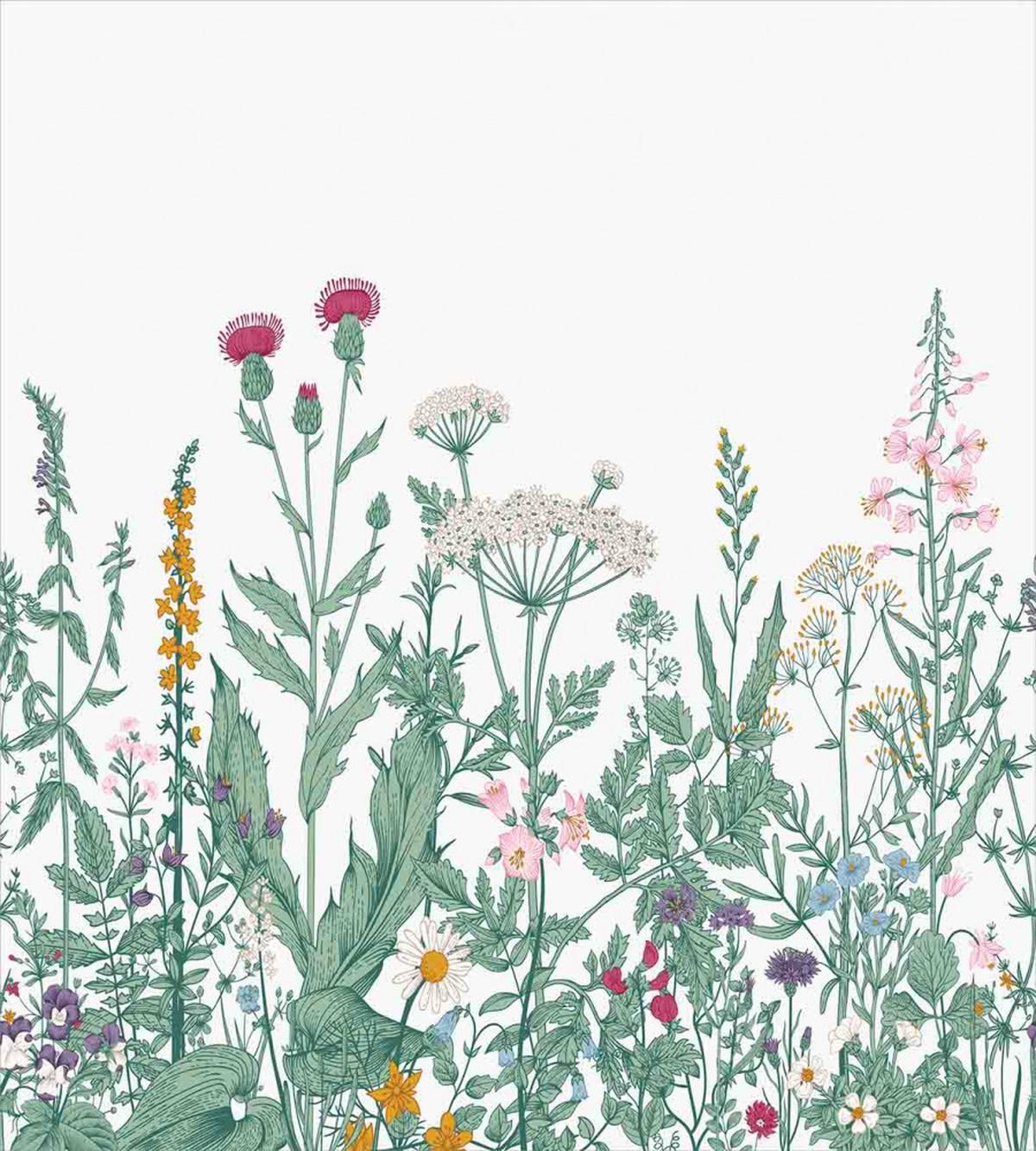Cow Parsley Musk Mallow — Pattern