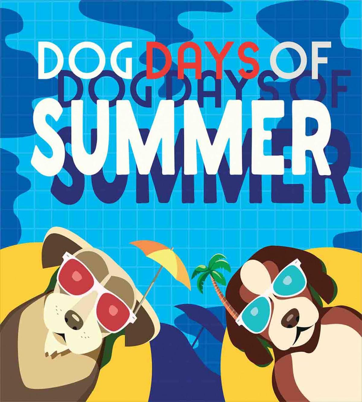 Dogs Days of Summer — Pattern