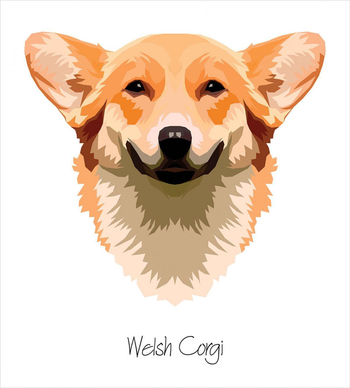 Friendly Funny Welsh Dog Art — Pattern
