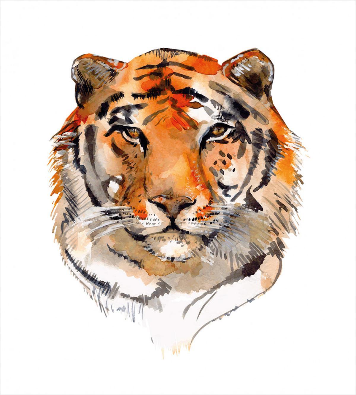Calm Stare Watercolor Art — Pattern