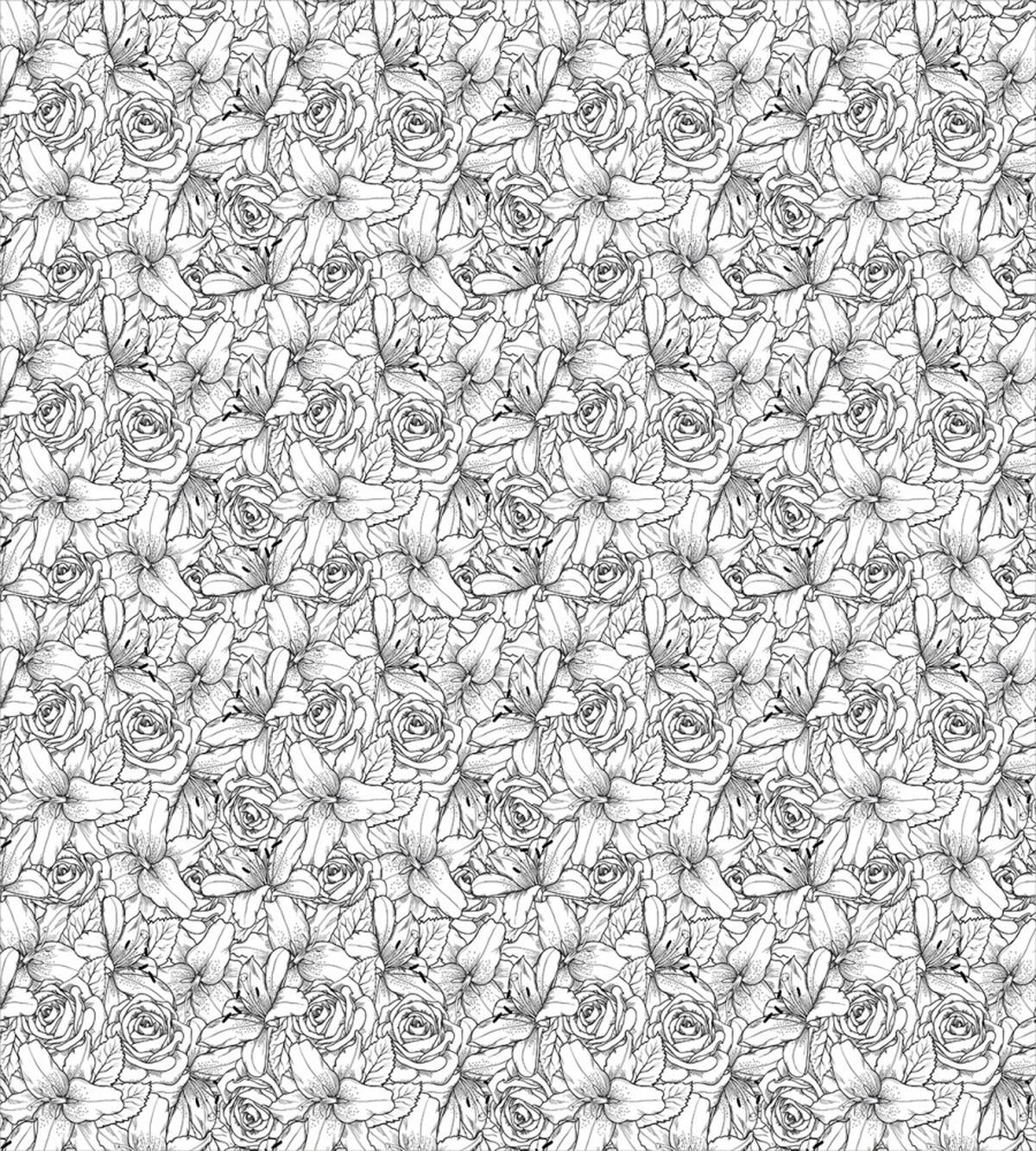 Botanical Poppy — Pattern