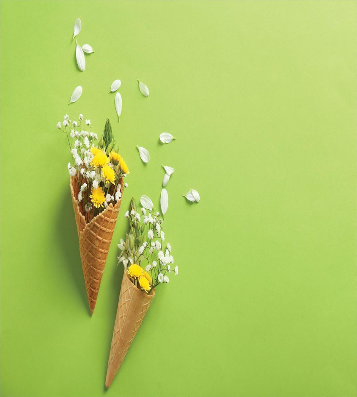 Flowers in Cones — Pattern