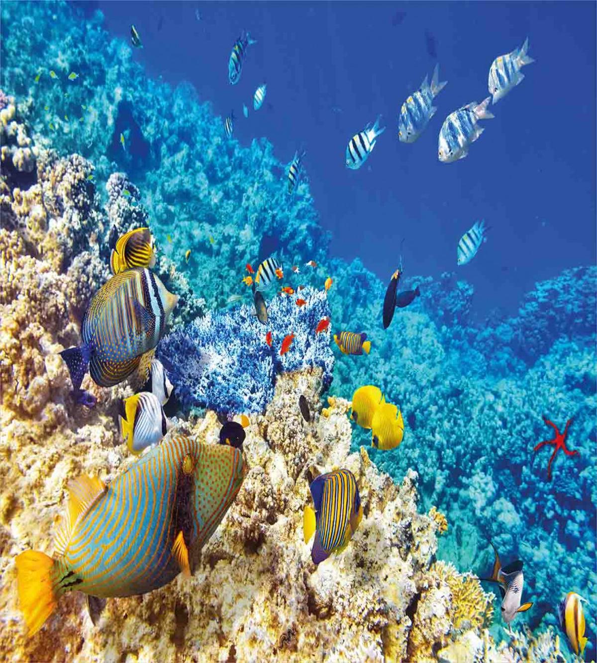 Aquatic Corals — Pattern