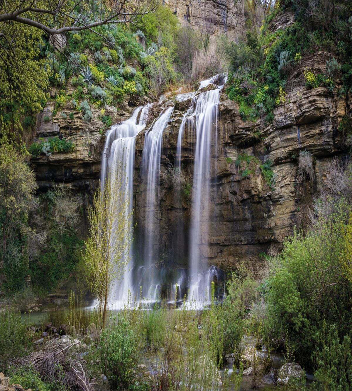 Waterfall Forest Sicily — Pattern