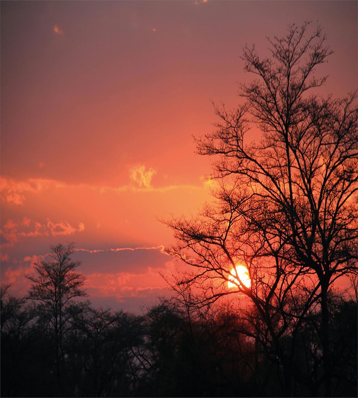 Sunset at Kwando River — Pattern
