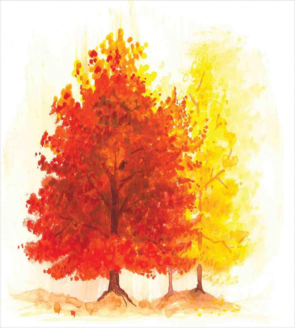Fall Snowy Winter Pine — Pattern