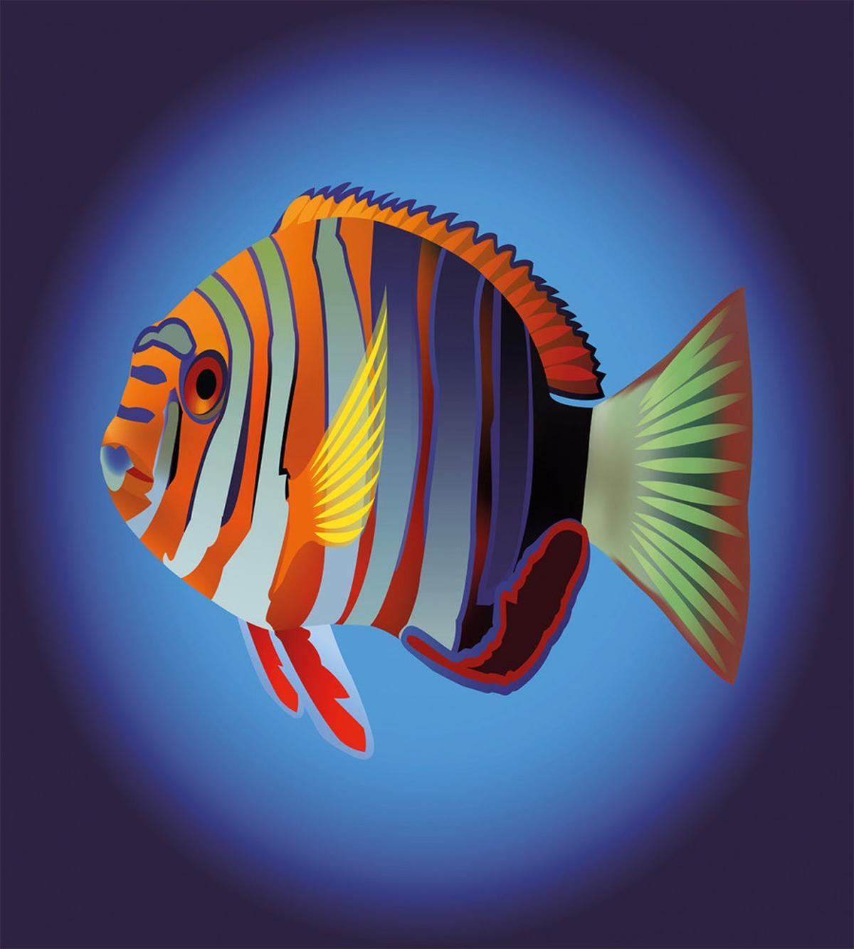 Tropical Exotic Sea Fish — Pattern