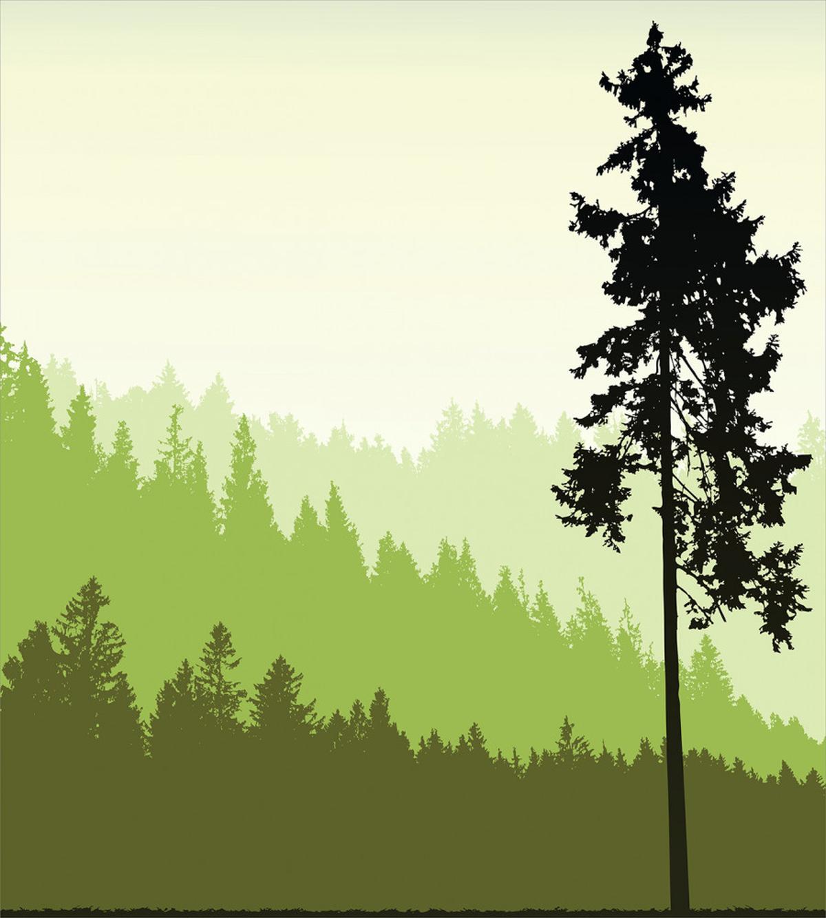 Pine Tree Silihouette — Pattern