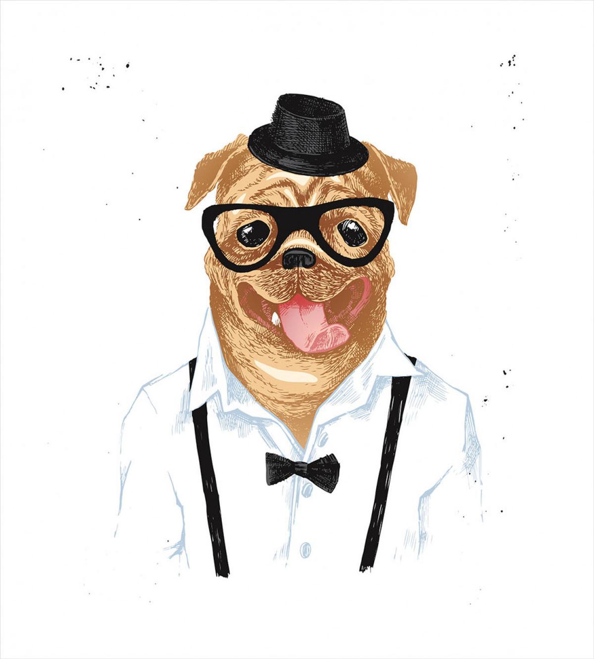 Pug with Formal Clothing — Pattern