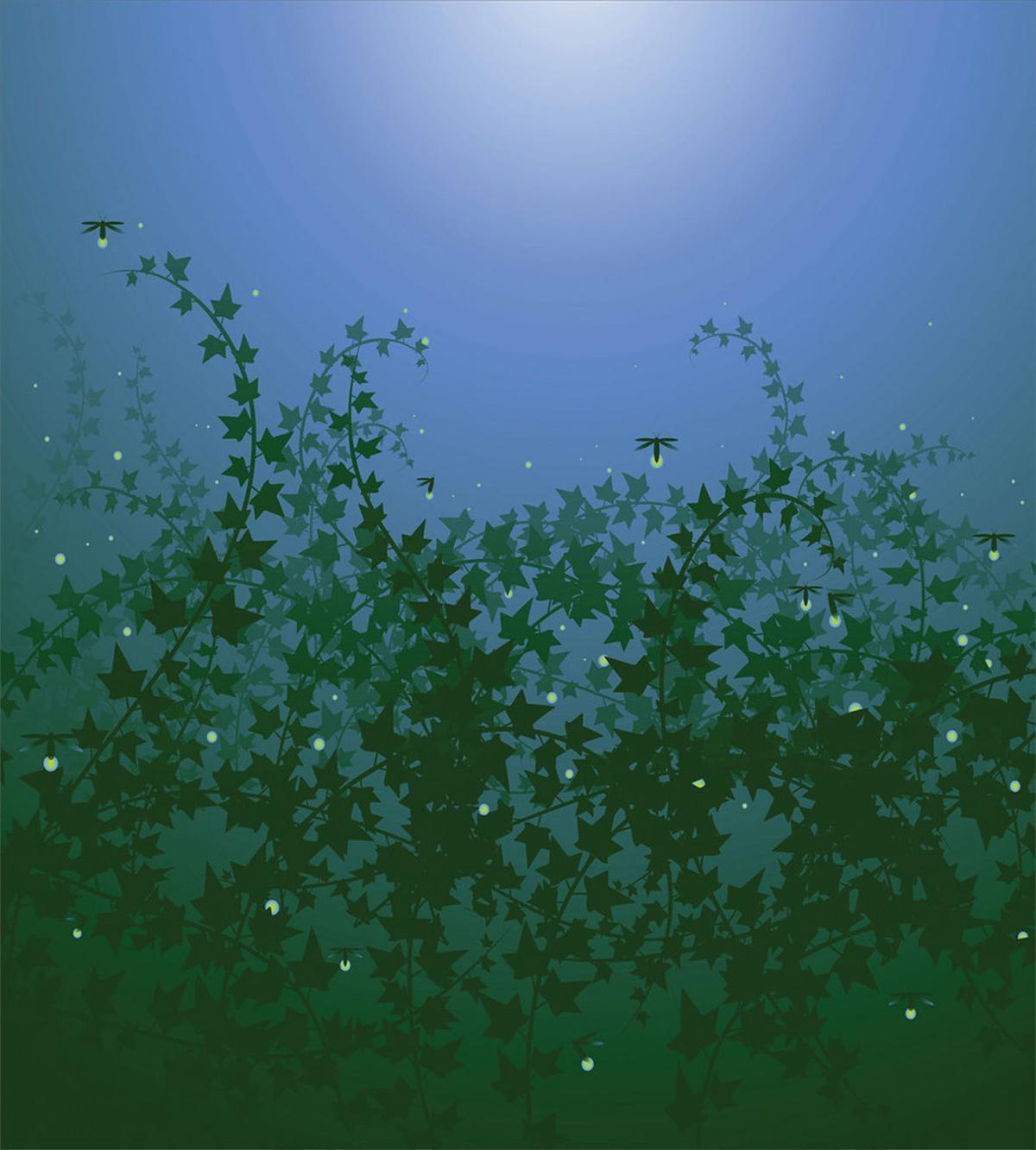 Nature Forest Spring Image — Pattern