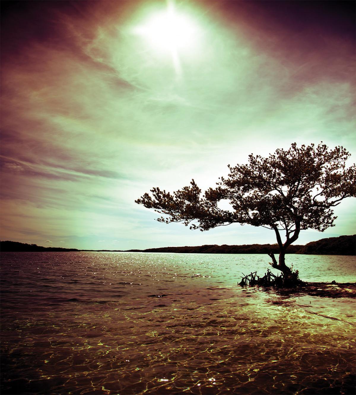 Picturesque Lakeside — Pattern