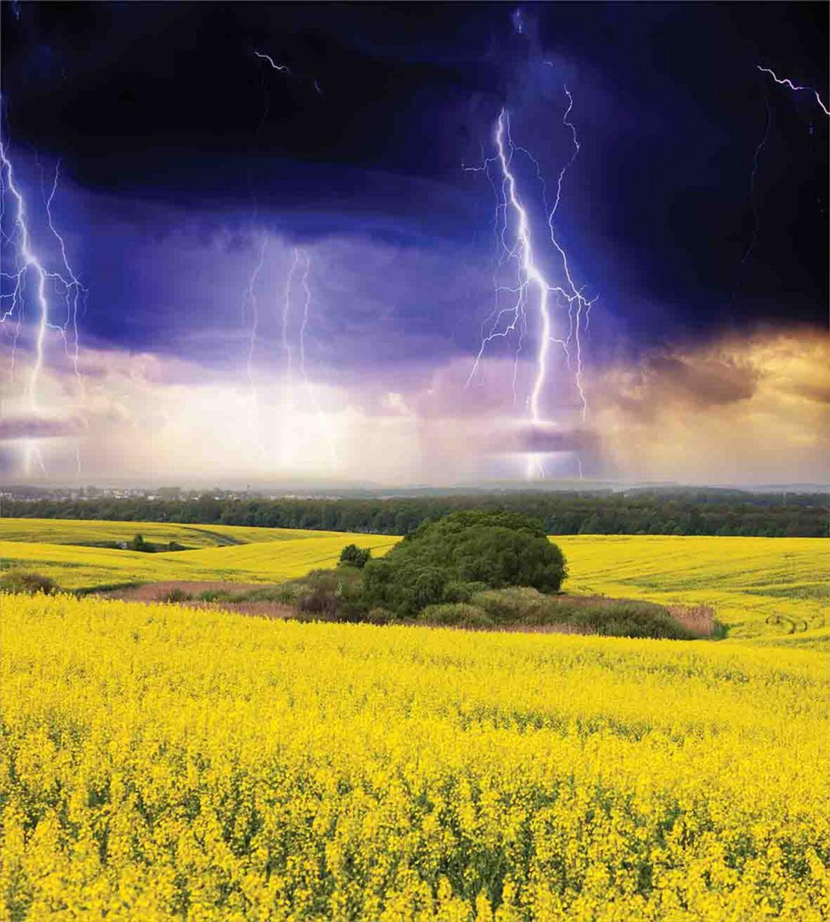 Majestic Storm Meadow — Pattern