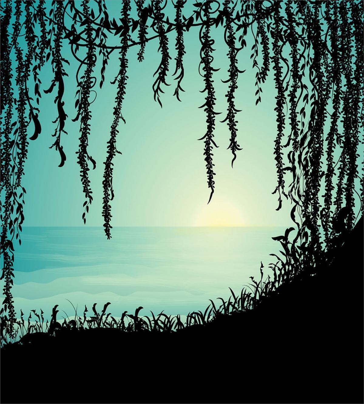 Liana Cave and Sea — Pattern