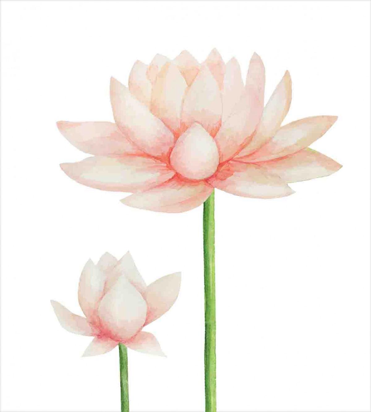 Pastel Blooming Lotus — Pattern