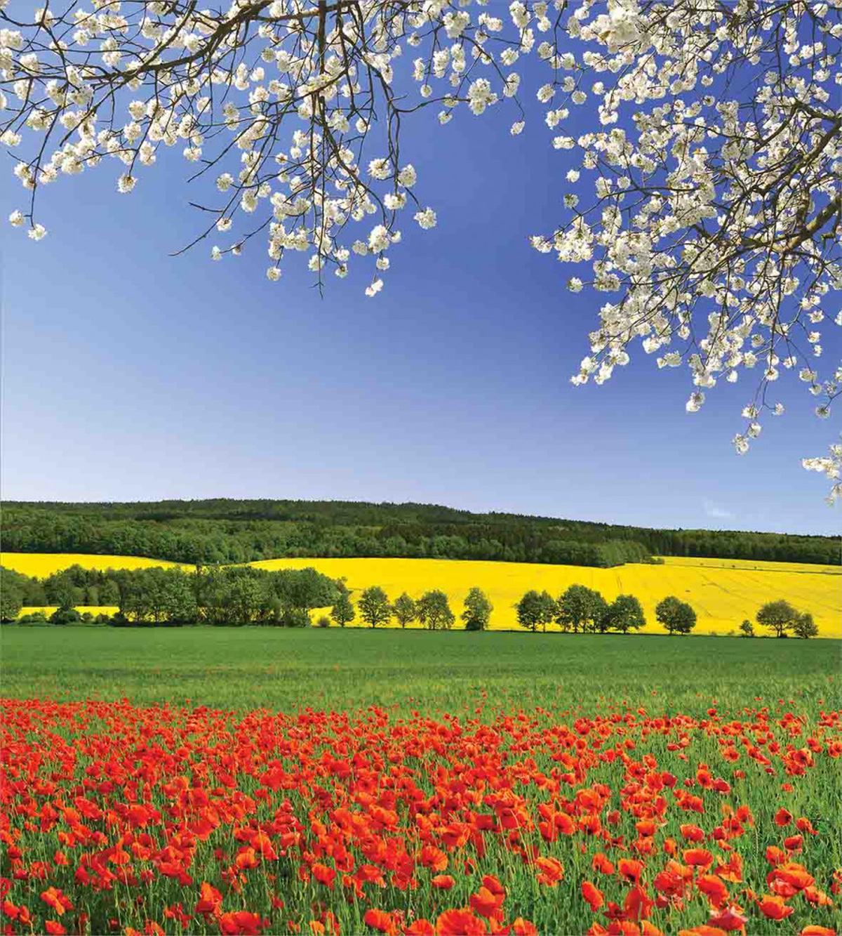 Poppy Field Landscape — Pattern