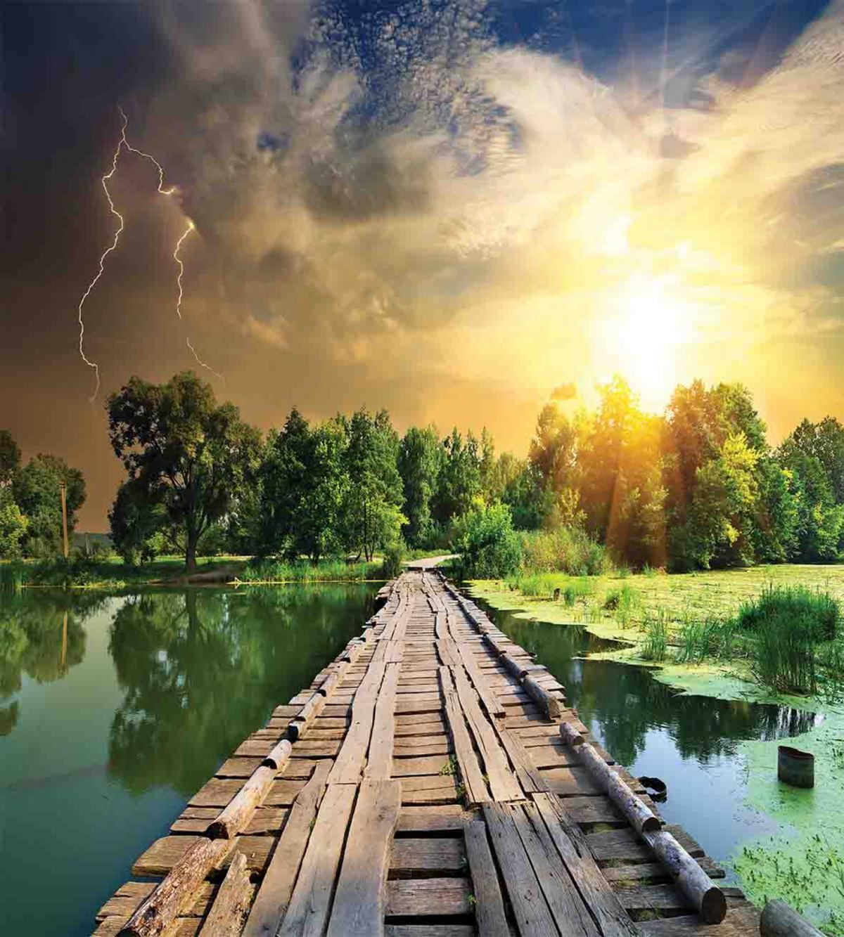 Bolt at Sunset Forest River — Pattern