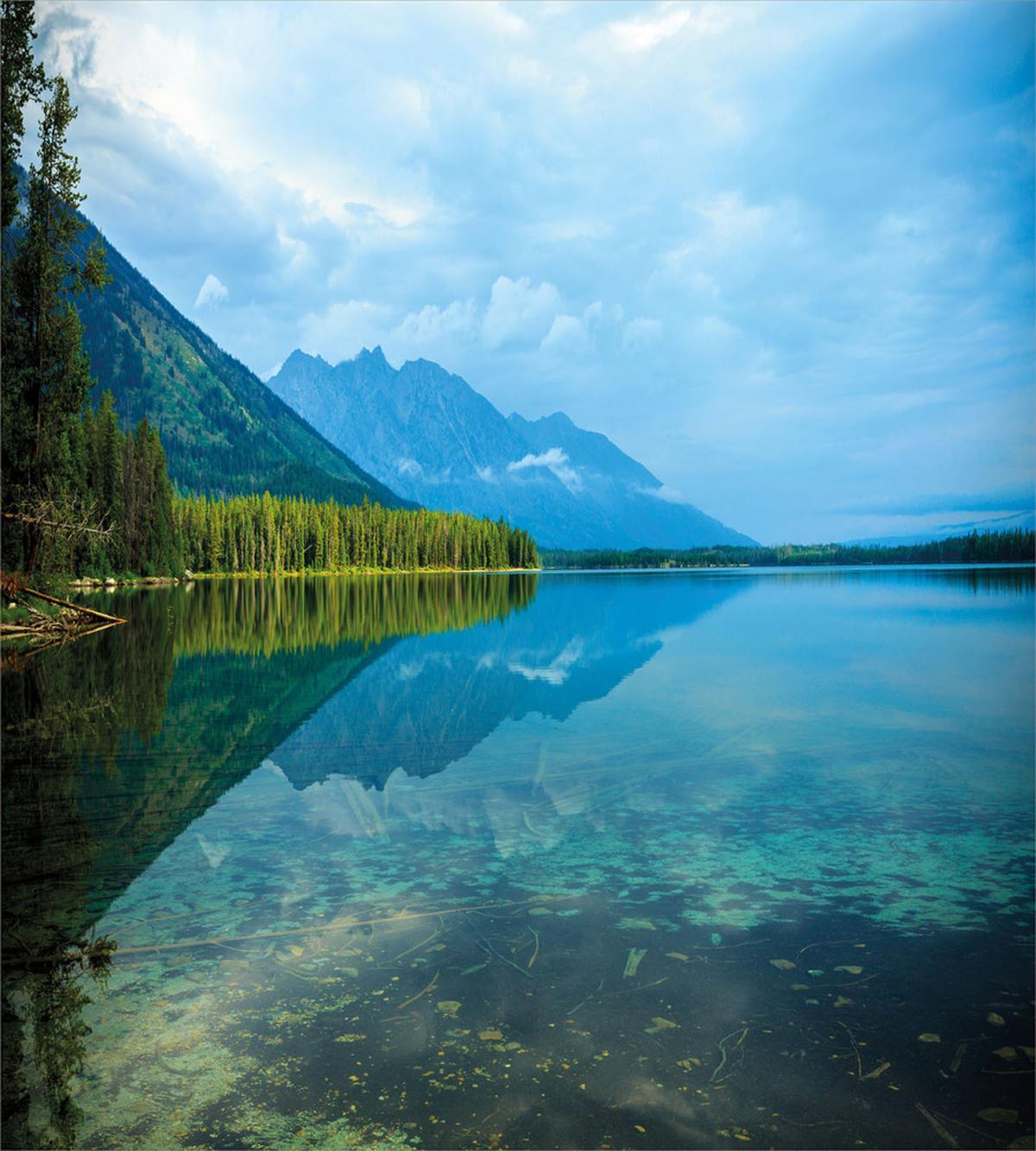 Reflections on Leigh Lake — Pattern