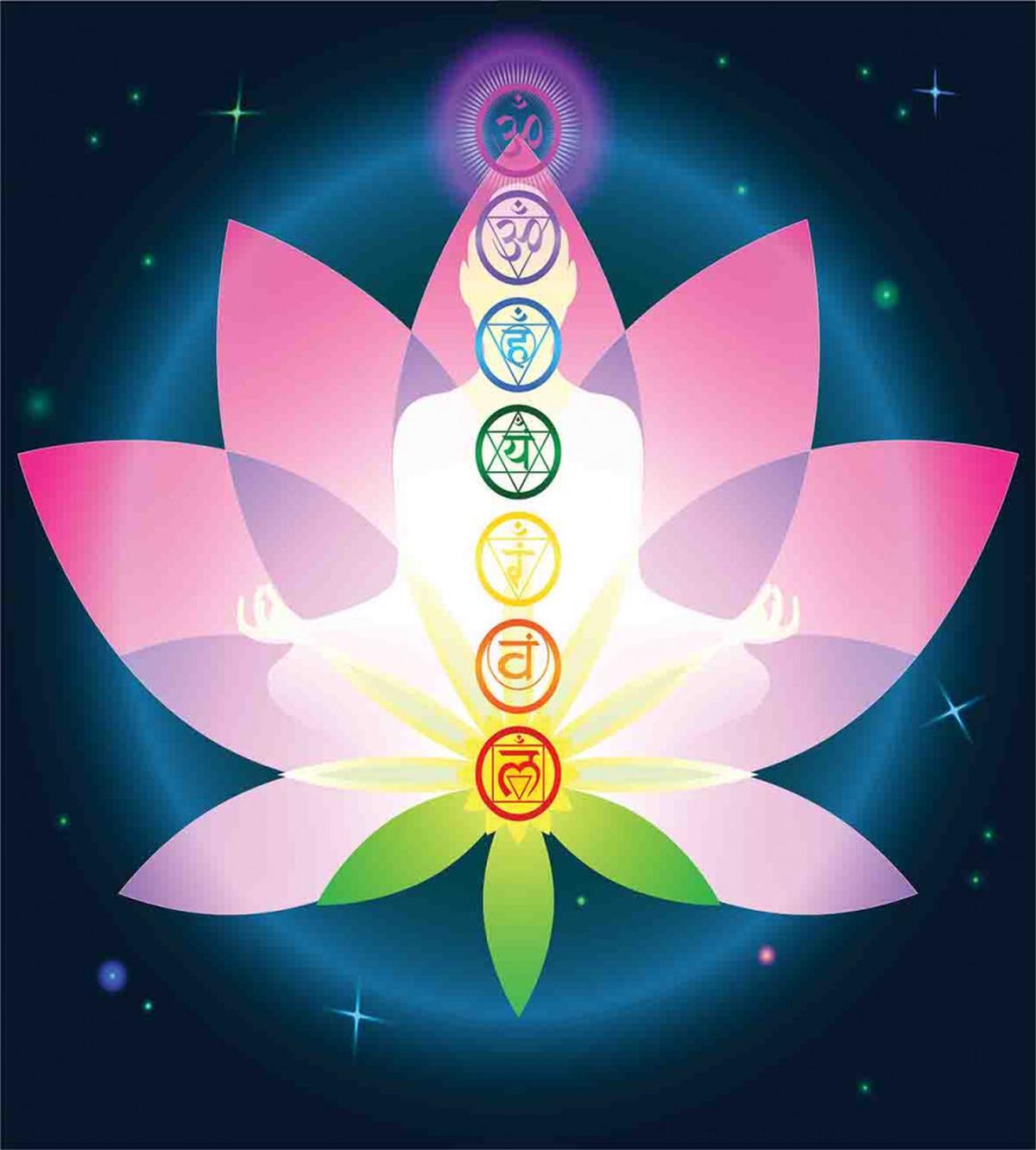 Lotus Flower Muladhara — Pattern