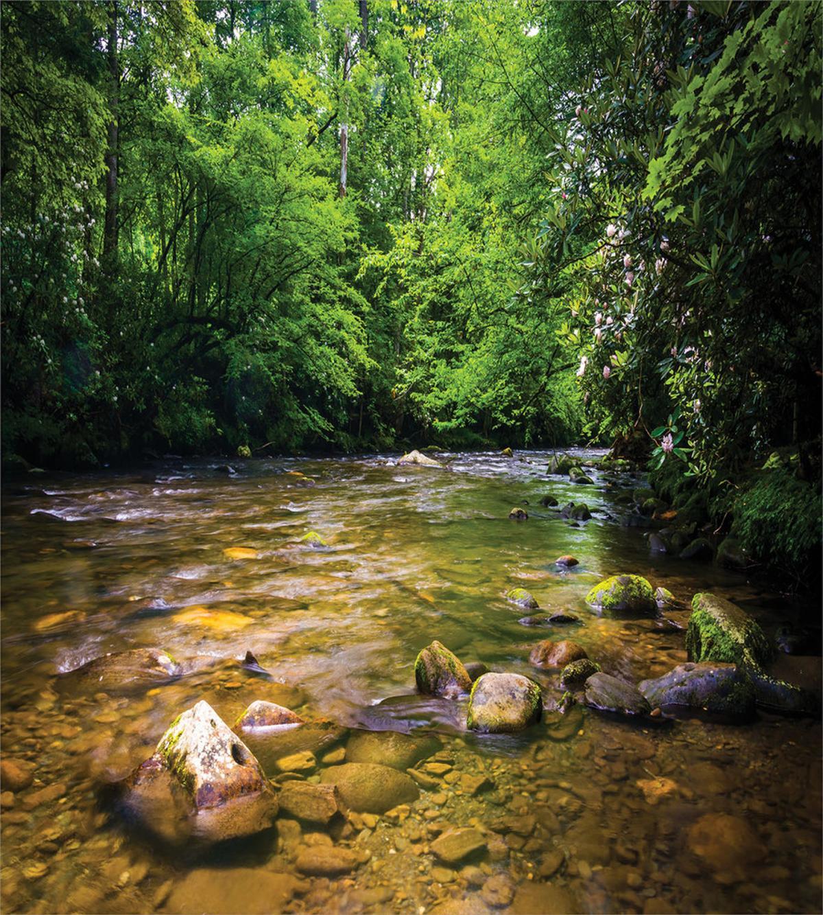 Oconaluftee River Photo — Pattern