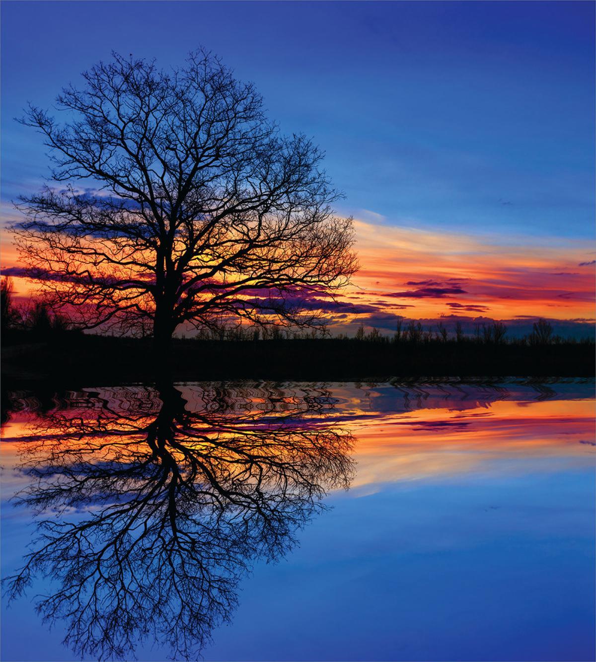 Night Scenery — Pattern