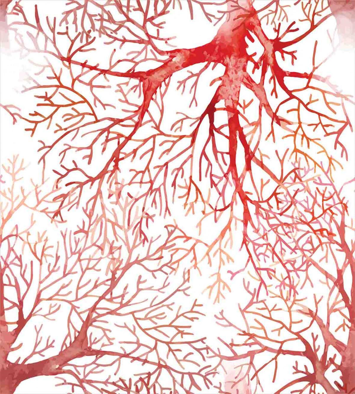 Watercolor Branchs Fall — Pattern