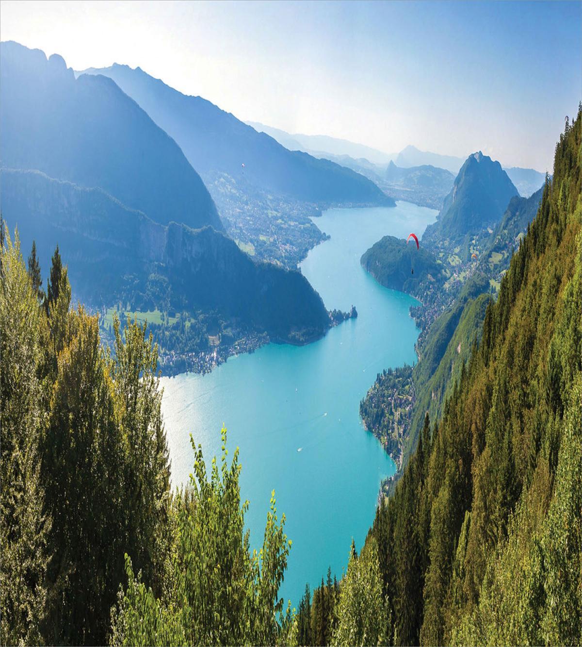 Aerial Annecy Lake Pine — Pattern