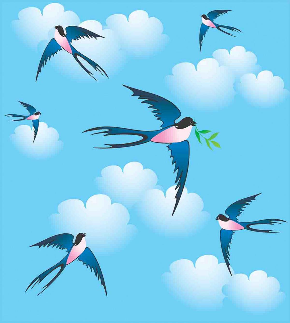 Hirundo Atrocaerulea — Pattern