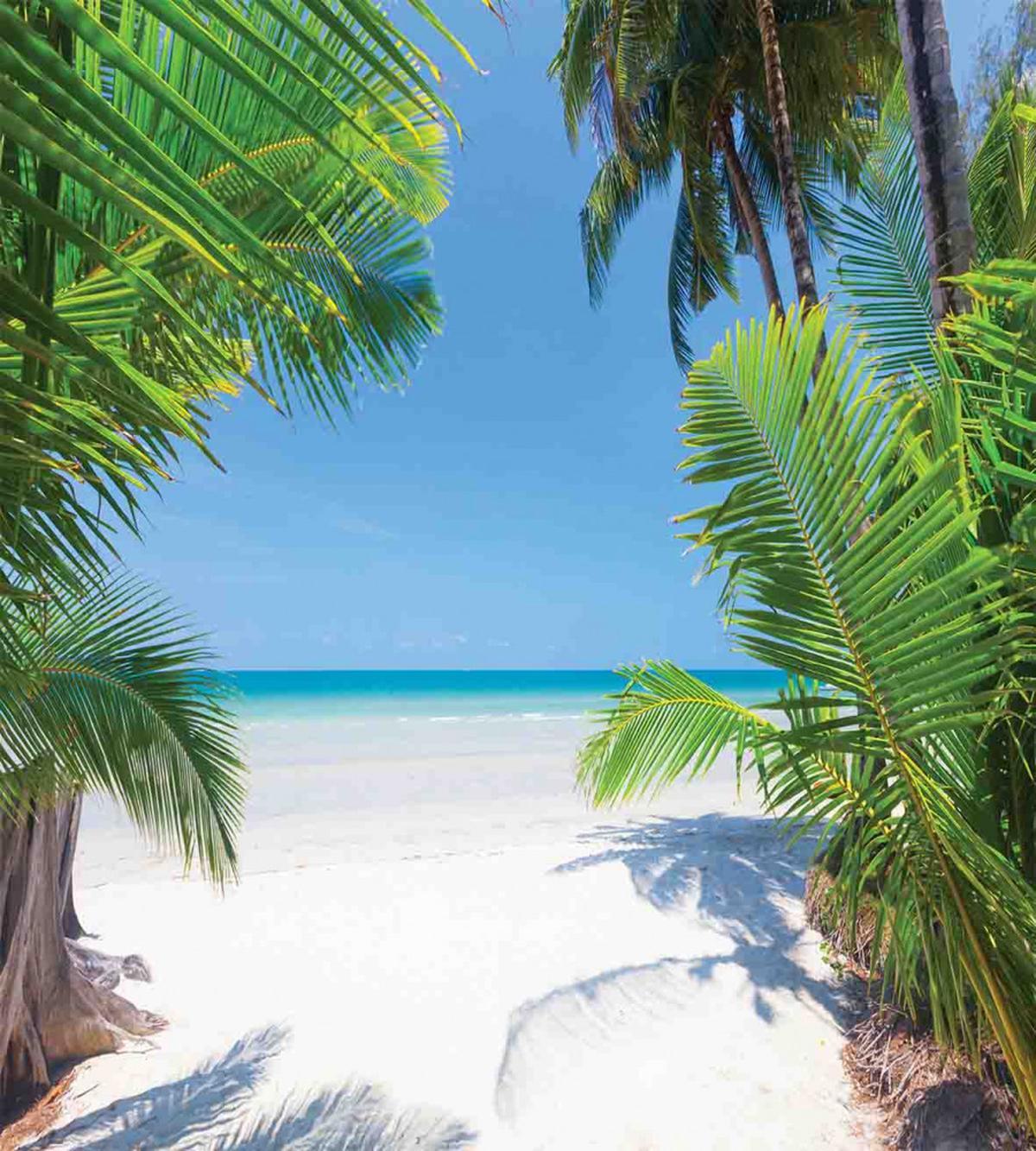 Palm Leaf Tropical Beach — Pattern