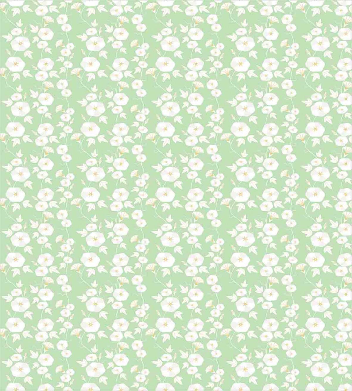 Morning Glory Species — Pattern