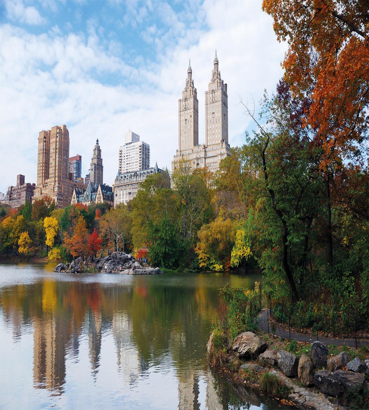 Manhattan Central Park — Pattern